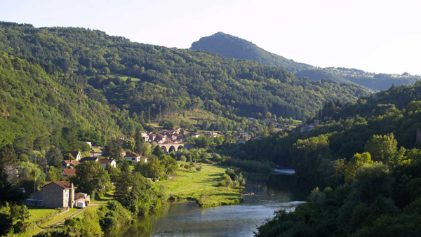 cabane dans les arbres en auvergne